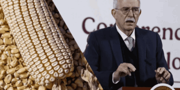 Anuncian Apoyo Histórico de $950 por Tonelada para Productores de Maíz