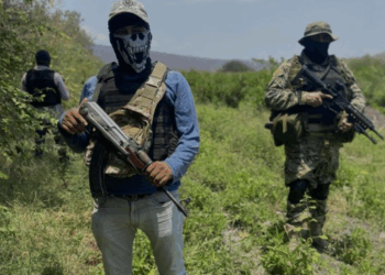 La Acusación de Trump: Cárteles Manejan a México, Pese a Elogios a Sheinbaum