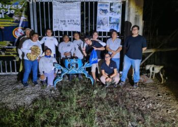 «Isla Mujeres refuerza protección del Cangrejo Azul con 2da jornada ecológica»