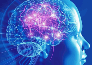 «Neuronas artificiales replican la función del cerebro humano con sorprendente precisión»