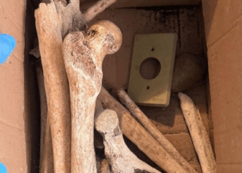 «Macabro hallazgo en São Paulo: descubren doce cráneos y huesos humanos en un apartamento»