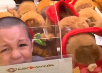 Niño Queda Atrapado en Máquina de Peluches en Guadalajara