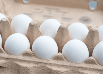 «Retiro masivo de huevos en EE.UU. por riesgo de salmonela»