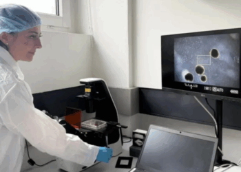 Cerebros Vivos para "Alimentar" la Computación del Futuro