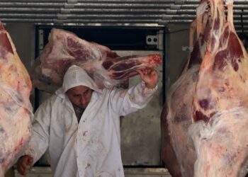 Crece la Extorsión en Guanajuato, crimen Organizado Impone Venta de Carne Robada