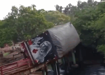 Un Puente de Madera Colapsa al Paso de un Camión en Brasil