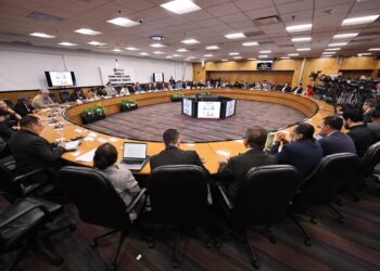 Diputada del PAN Lamenta Falta de Inclusión en Reunión sobre Reforma Electora