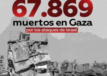 El Costo Humano del Conflicto Más de 1.000 Niños y Cientos de Médicos Asesinados en Gaza