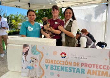 «Mas de 100 Mascotas protegidas en el Adopta Fest del Paseo Cancunense»