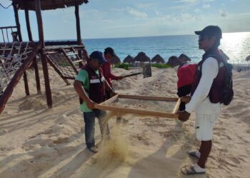 Intensa Limpieza de Playas se Mantiene Activa en Cancún
