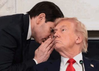 Israel y Hamás Acuerdan la Fase Inicial del Plan de Paz de Trump para Gaza