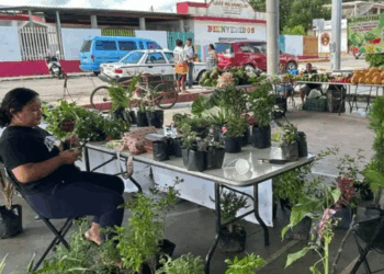 Alerta en Kantunilkín por la Falta de Inversión para Producir en el Campo