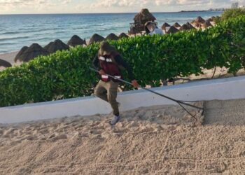 La Limpieza de Playas se Mantiene como Tarea Permanente en Playa Delfines