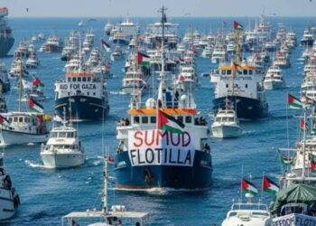 Más de 45 Barcos Turcos Rumban a Gaza Tras Interceptación Israelí