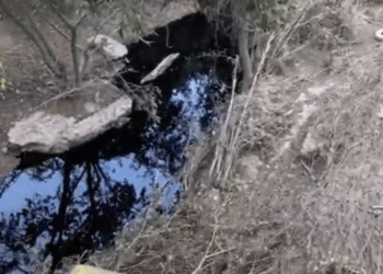 Pemex Avanza en Limpieza de Crudo en el Río Pantepec