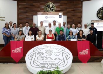 Estefanía Hernández, Playa del Carmen, Turismo, Consejo Consultivo de Turismo