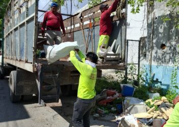 Por Salud Pública, Avanza la Descacharrización en la SM 92 de Cancún