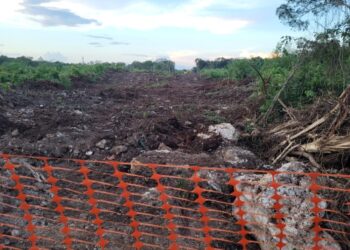 Revés judicial para amparo contra el Tren Maya en Cancún