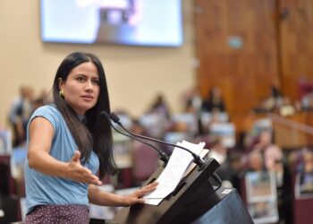 Rosales San Román Denuncia Incapacidad en Veracruz Agrava Tragedia por Lluvias