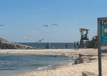 ¡Buenas Noticias! El Sargazo se Despide de las Playas de Quintana Roo
