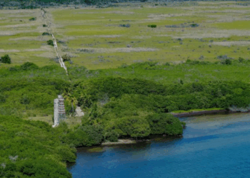 Piden Activistas a Semarnat Frenar Obras de la Sedena en Sian Ka’an