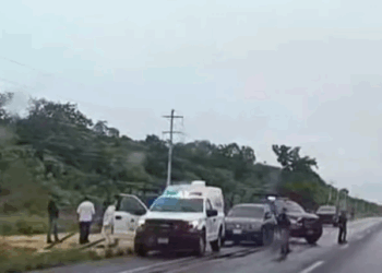 Hallan Cadáver de Mujer con Signos de Violencia en la Carretera Tulum–Felipe Carrillo Puerto