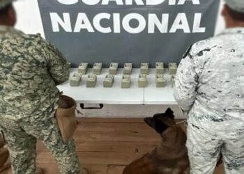 Operación Frontera Norte: detienen a una persona con 200 mil dólares en Tijuana y aseguran armas y drogas en varios estados