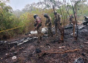 «Tragedia en Kenia, Un Avión Civil se Estrella  con 12 Personas a Bordo»