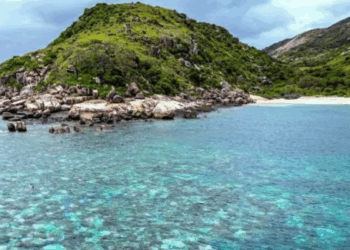 Tragedia en la Gran Barrera: La familia de la pasajera olvidada por un crucero denuncia negligencia