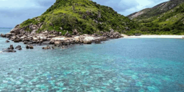 Tragedia en la Gran Barrera: La familia de la pasajera olvidada por un crucero denuncia negligencia