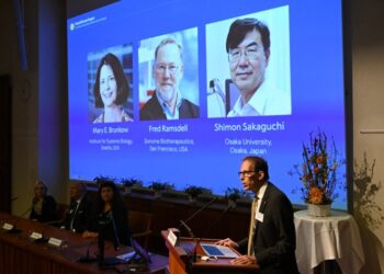 Tres Científicos Ganan el Nobel de Medicina por Descubrir Cómo se Controla el Sistema Inmunológico