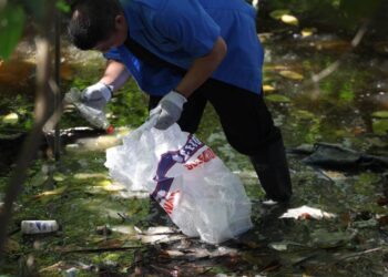 REFUERZA ANA PATY PERALTA ACCIONES PARA LA CONSERVACIÓN DE LOS CENOTES URBANOS DE CANCÚN