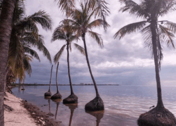 Se Mantiene el Clima Cálido en Quintana Roo con Posibilidad de Lluvias