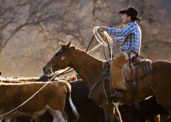 Ganaderos de EE. UU. Estallan Contra Trump por el Plan de Importar Carne Argentina