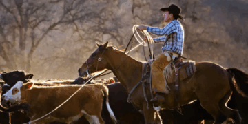 Ganaderos de EE. UU. Estallan Contra Trump por el Plan de Importar Carne Argentina