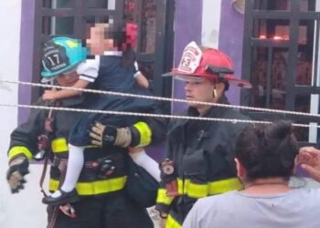 Rescatan a niña y su perrito de un incendio en Playa del Carmen