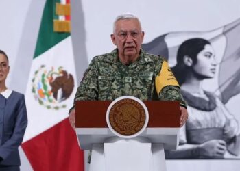 Defensa Nacional despliega más de ocho mil elementos para atender daños por lluvias en cinco estados