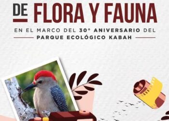 INVITA GOBIERNO DE BENITO JUÁREZ AL CONCURSO DE FOTOGRAFÍA DE FLORA Y FAUNA