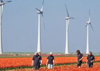 Jornaleros mexicanos en Canadá denuncian explotación laboral y exigen reconocimiento de derechos