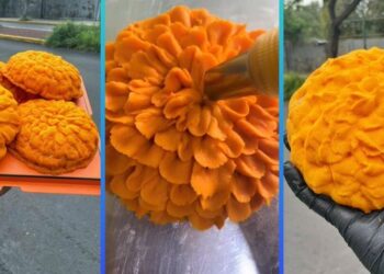 La Concha de Cempasúchil Rompe Récords de Sabor en CDMX