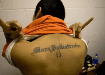 ¿Existen los "Carteles Gringos" que Mueven la Droga de América Latina?