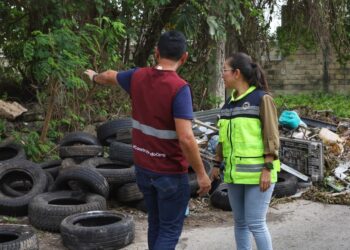 Alerta por Lluvias en el Sur Operativo Tormenta en Chetumal Atiende Más de 50 Puntos Críticos
