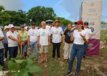 Arborización Urbana en Cancún: Plantan 250 Árboles Nativos