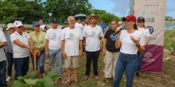 Arborización Urbana en Cancún: Plantan 250 Árboles Nativos