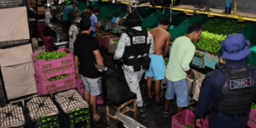 Blindaje Militar a la Cadena Productiva del Limón en Michoacán