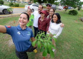 Cancún Plantará Más de 11 Mil Árboles Nativos para ser una Ciudad Más Verde