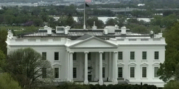 Tiroteo cerca de la Casa Blanca: dos miembros de la Guardia Nacional resultan heridos en Washington