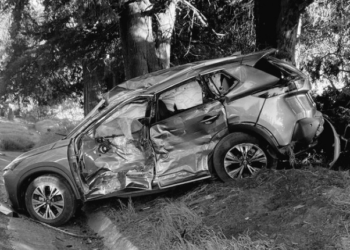 «Tragedia en la México-Cuernavaca: familia pierde la vida en fatal accidente»