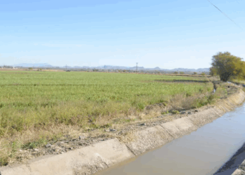 Agua Desata Inconformidad y Amparos de Productores Contra Nueva Ley