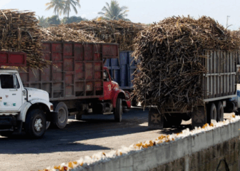 La Crisis de los Cañeros: Productores Toman Casetas en Veracruz Exigiendo Precios Justos